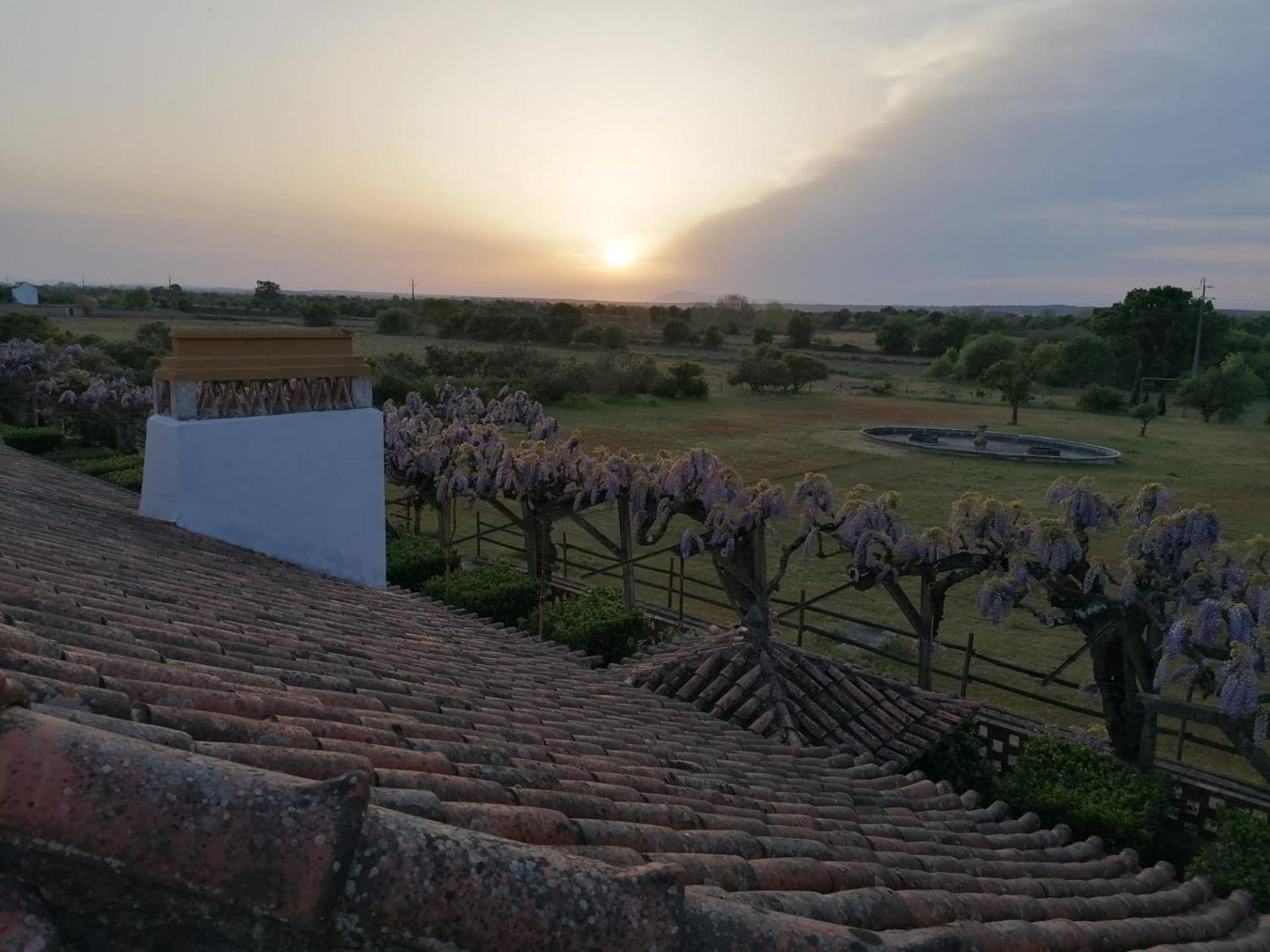 Quinta Do Casalinho - Benfica Do Ribatejo Villa Dış mekan fotoğraf