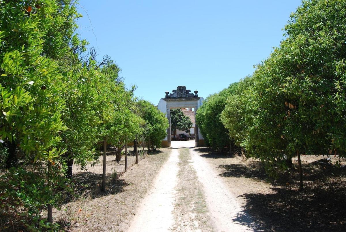 Quinta Do Casalinho - Benfica Do Ribatejo Villa Dış mekan fotoğraf